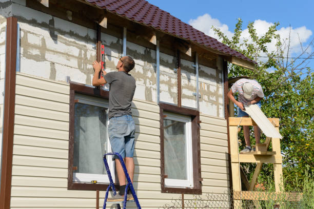 Best Custom Trim and Detailing for Siding  in Rio Rico, AZ